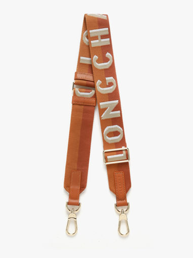 Longchamp Bandouli�re ombr�e Juwelen Groen